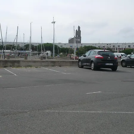 Le Chant Des Tourterelles - Mr Guieau Epargnes